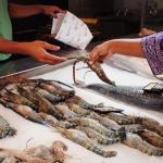 Photos from Jamie Kitson's post